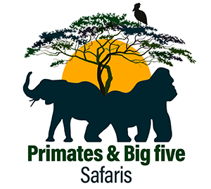 Primates and bigfive logo 1